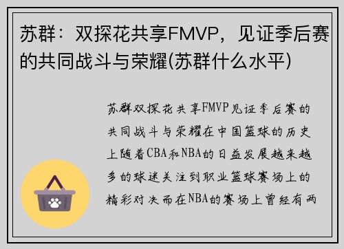 苏群：双探花共享FMVP，见证季后赛的共同战斗与荣耀(苏群什么水平)