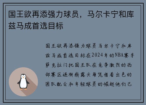 国王欲再添强力球员，马尔卡宁和库兹马成首选目标