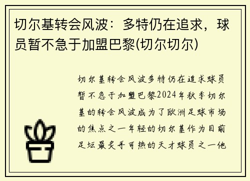 切尔基转会风波：多特仍在追求，球员暂不急于加盟巴黎(切尔切尔)