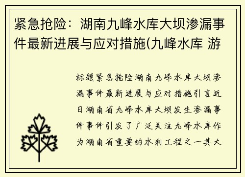 紧急抢险：湖南九峰水库大坝渗漏事件最新进展与应对措施(九峰水库 游泳)