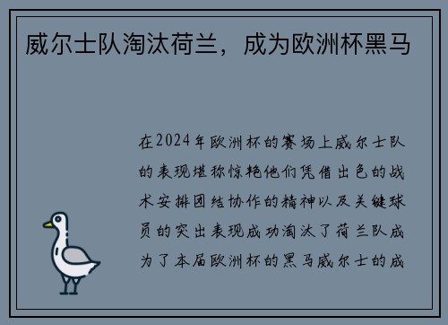 威尔士队淘汰荷兰，成为欧洲杯黑马