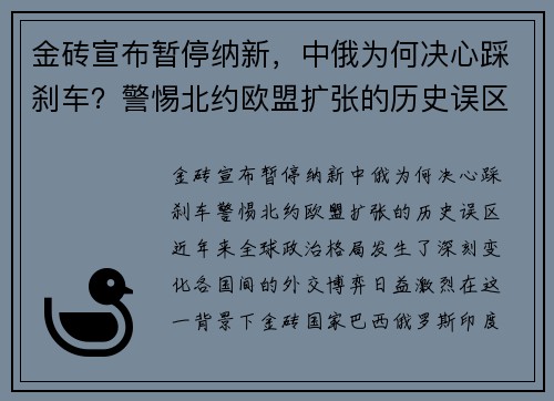 金砖宣布暂停纳新，中俄为何决心踩刹车？警惕北约欧盟扩张的历史误区