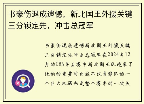 书豪伤退成遗憾，新北国王外援关键三分锁定先，冲击总冠军